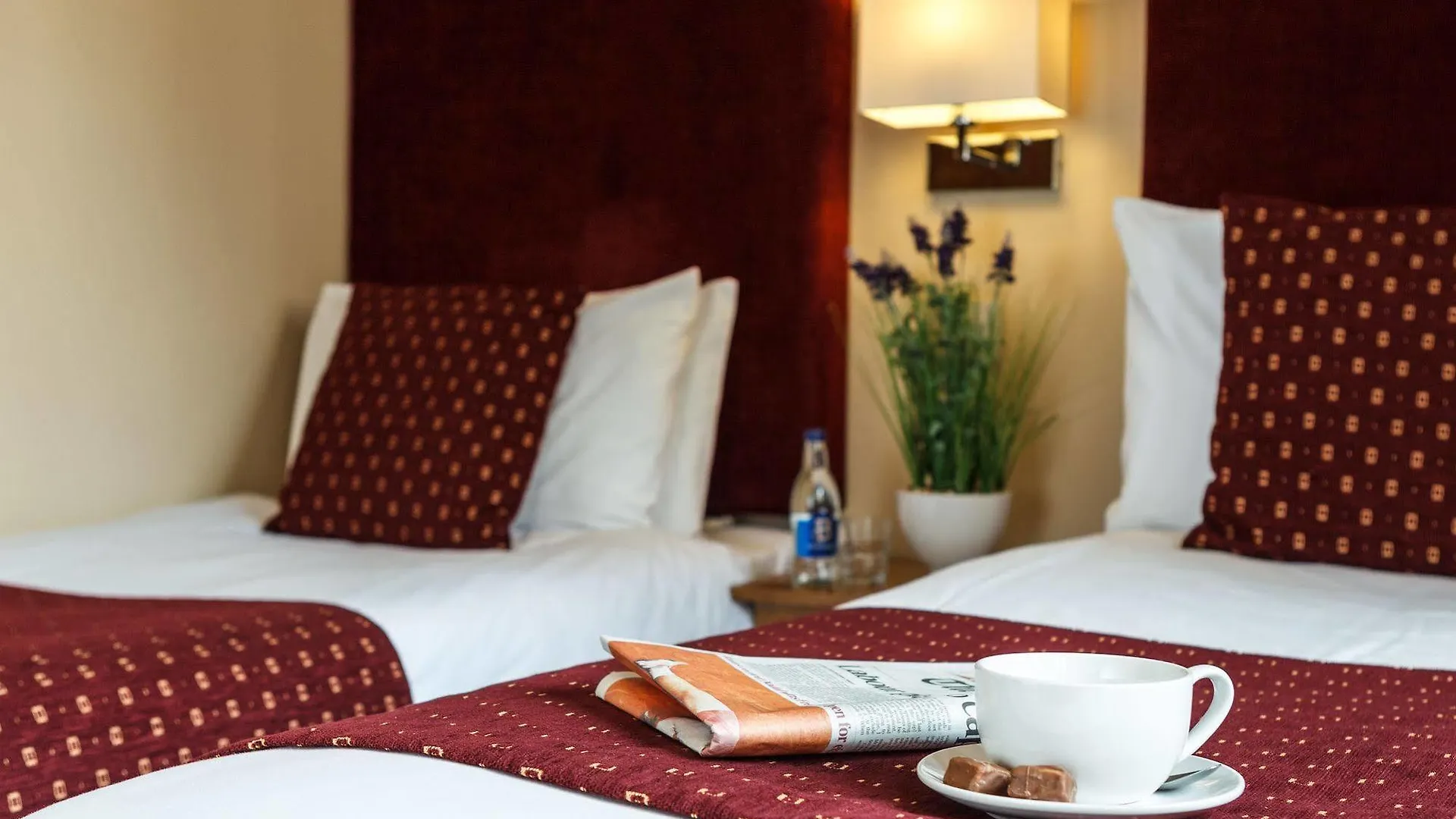 Guest house Kingfisher Townhouse Dublin