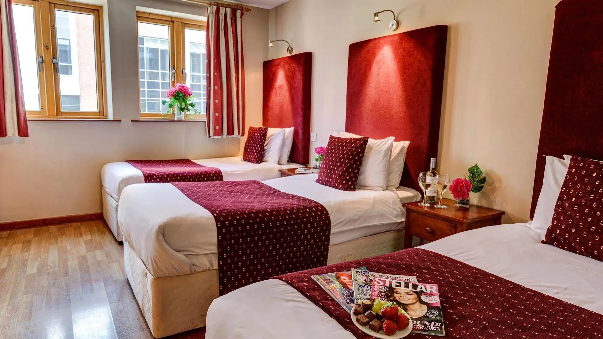 Kingfisher Townhouse Dublin Guest house